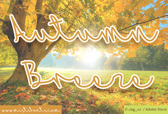 Autumn Breeze Font: Elevating Small Business Branding