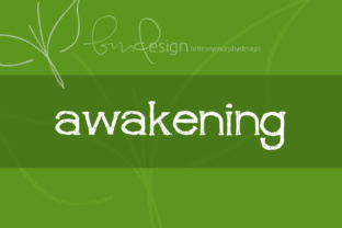 Awakening Font Review: Adding Character to Small Business Branding