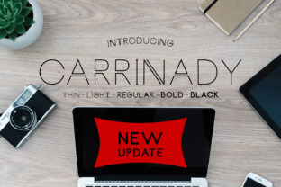 Carrinady Font: A Modern Sans Serif for Editorial Design