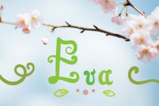 Eva Script Font: A Playful Hand-Drawn Typeface for Branding
