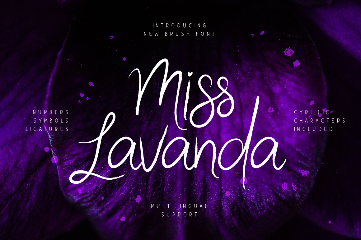 Miss Lavanda Font Review for Social Media Campaigns