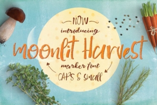 Moonlit Harvest Font Review: Handcrafted Script for Branding