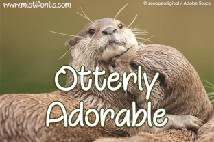 Otterly Adorable Font for Cute Web Design