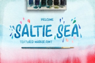 Saltie Sea Font: Editorial Design and Layout Review