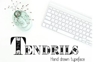 Tendrils Font Review for Editorial Design