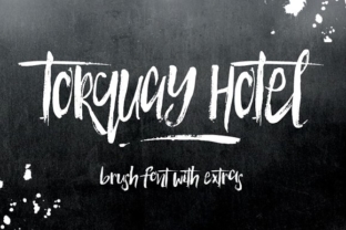 Torquay Hotel Font: A Designer’s Branding Test