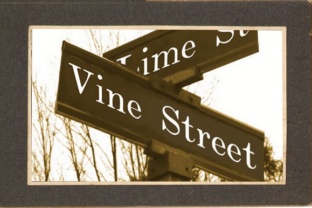 Vine Street Font: Adding Familiar Comfort to Brand Identity